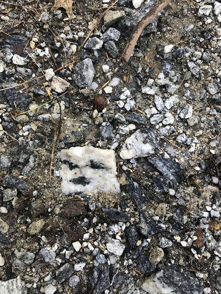 a rock that looks like a face